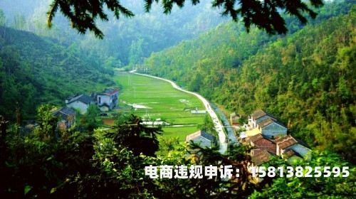 平邑虚假交易案件判决书-第1张图片