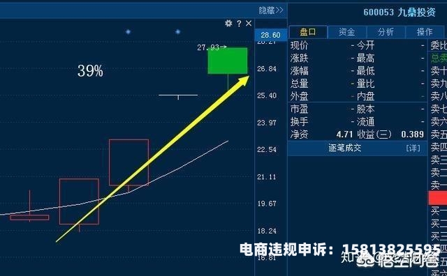 金亚科技虚假交易事件-第1张图片