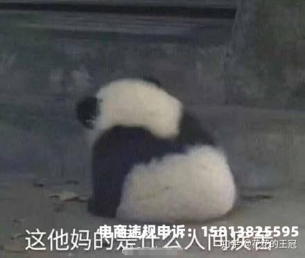虚假交易降权了吗知乎-第1张图片