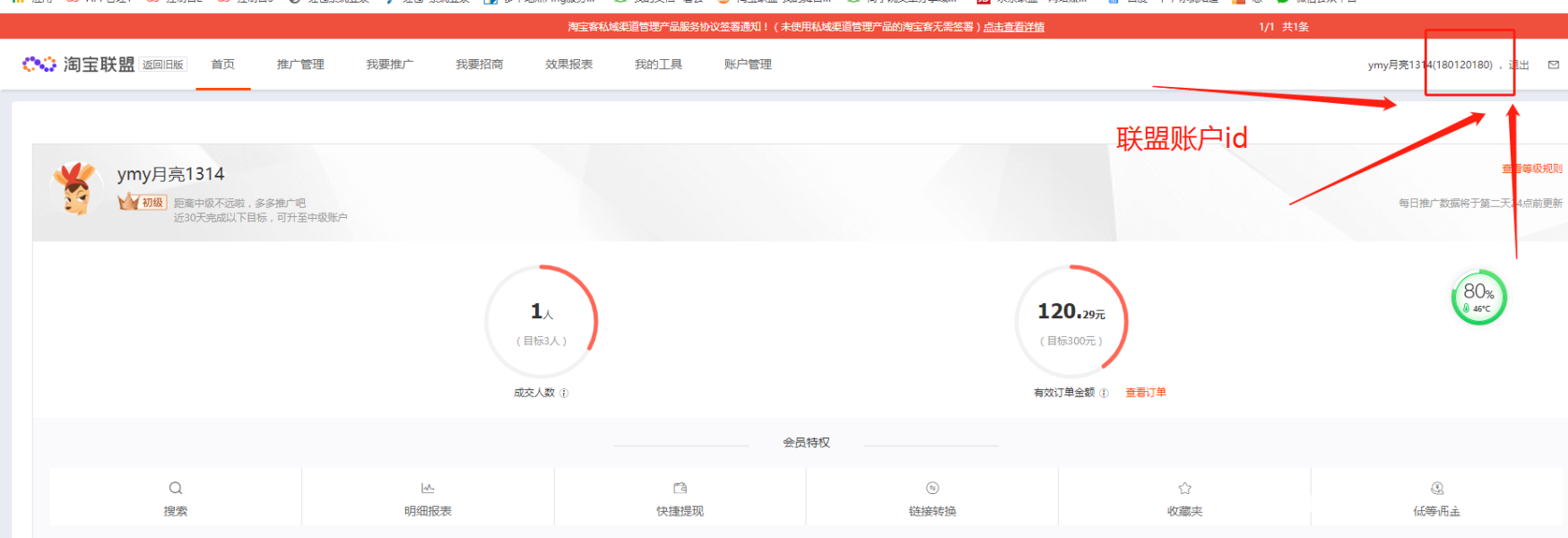 淘宝联盟虚假订单-第1张图片