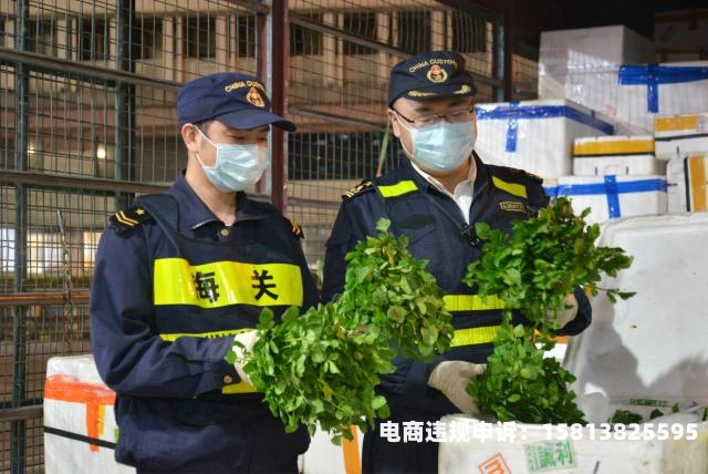 什么是海关虚假交易行为-第1张图片