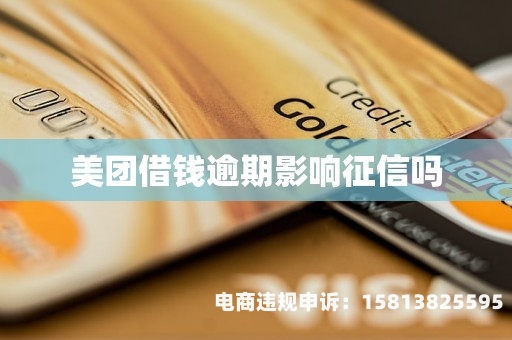 美团虚假交易影响征信吗-第2张图片