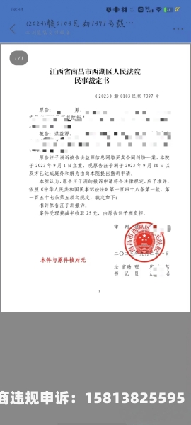 虚假交易要怎么申述呢-第2张图片