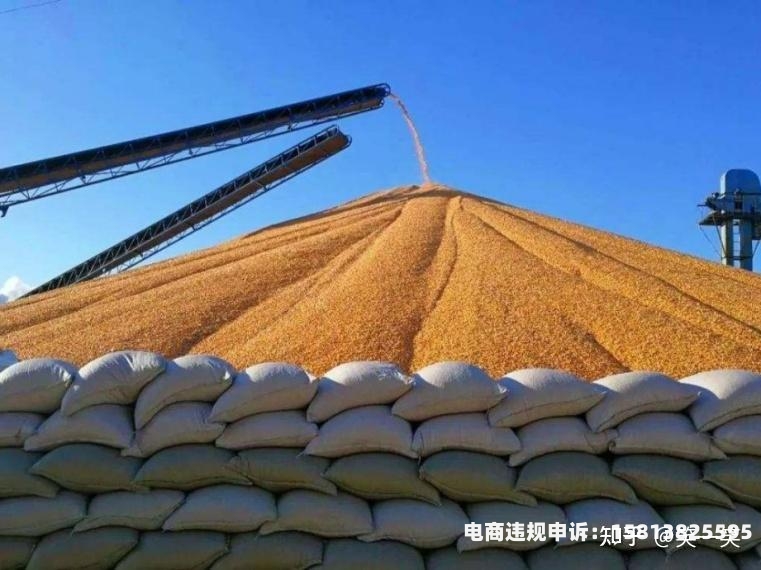 大宗贸易虚假交易案例分析-第1张图片