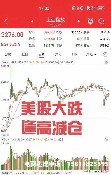 美国股市虚假交易案例-第1张图片