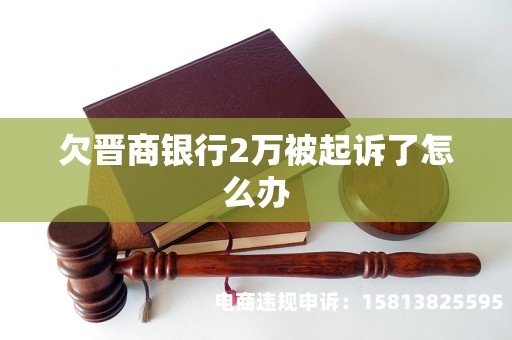 银行起诉我虚假交易怎么办-第1张图片