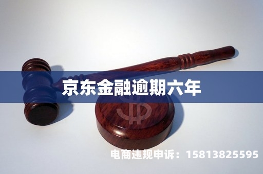 京东虚假交易的处罚标准-第2张图片